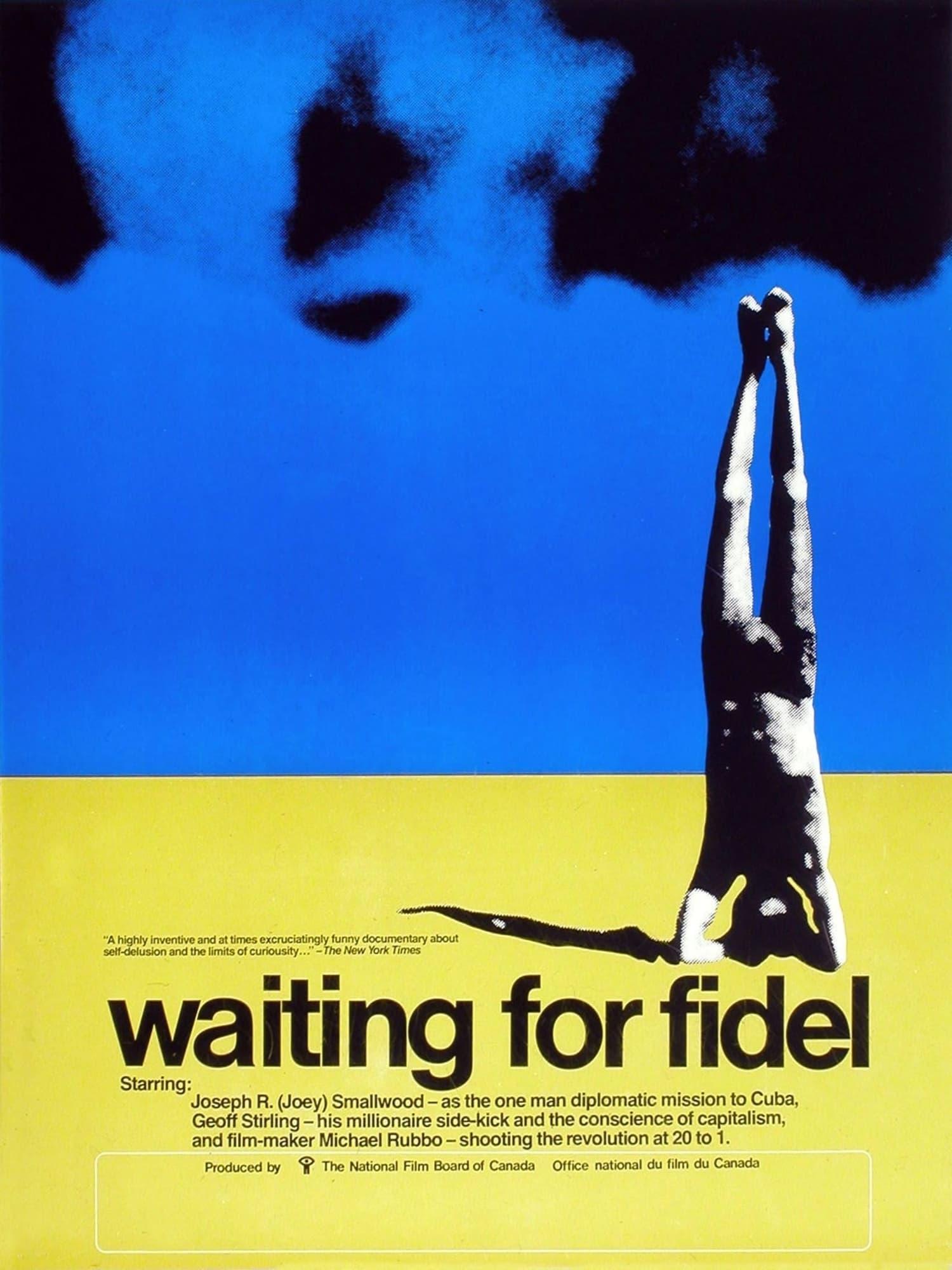 Waiting for Fidel poster