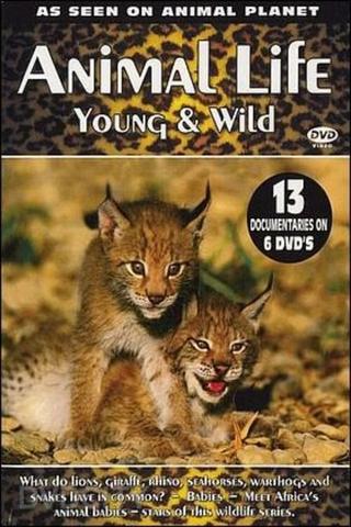 Animal Life: Young & Wild poster