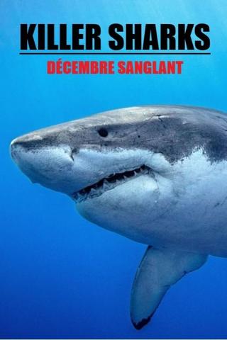 Killer Sharks : The Attacks Of Black December poster