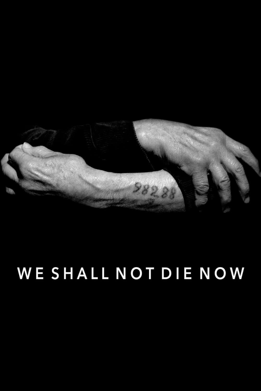 We Shall Not Die Now poster