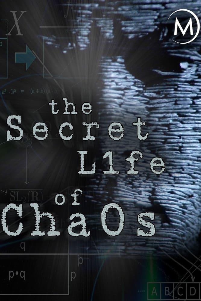 The Secret Life of Chaos poster