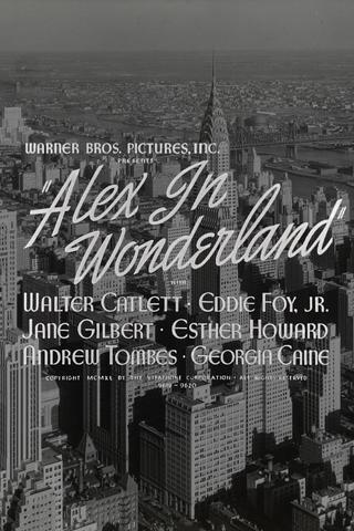 Alex in Wonderland poster