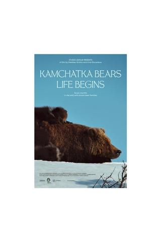 Kamchatka Bears. Life Begins poster