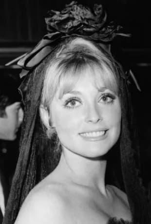 Sharon Tate pic