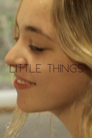 Little Things poster