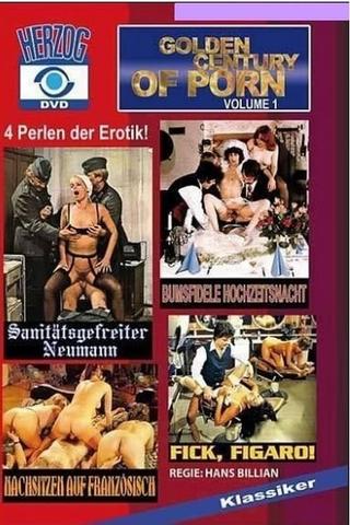 Golden Century of Porn poster