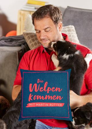 Martin Rütter – Die Welpen kommen poster