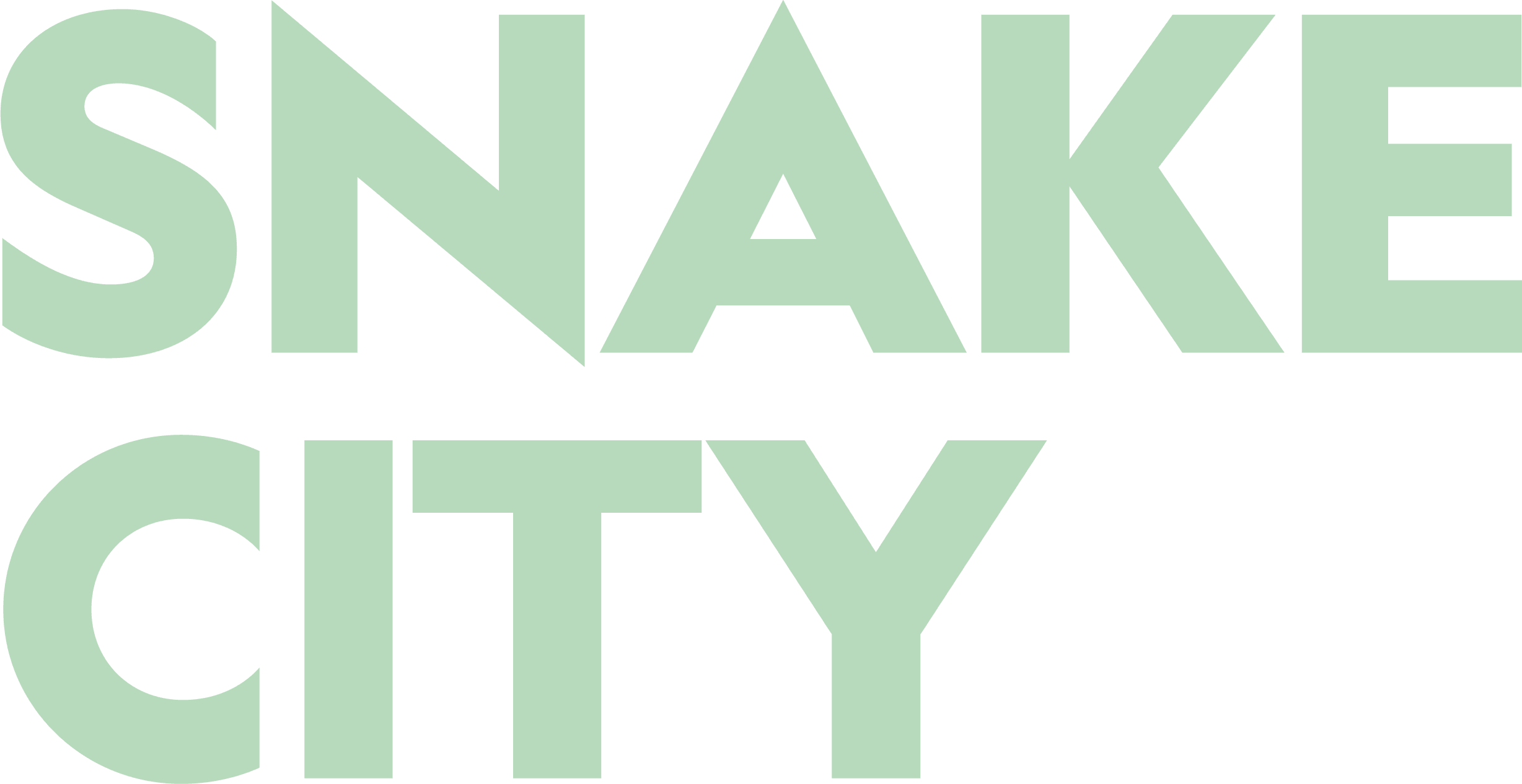 Snake City logo