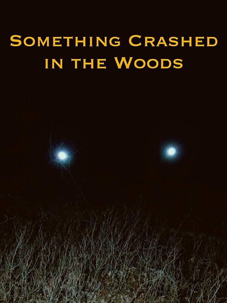 Something Crashed in the Woods poster