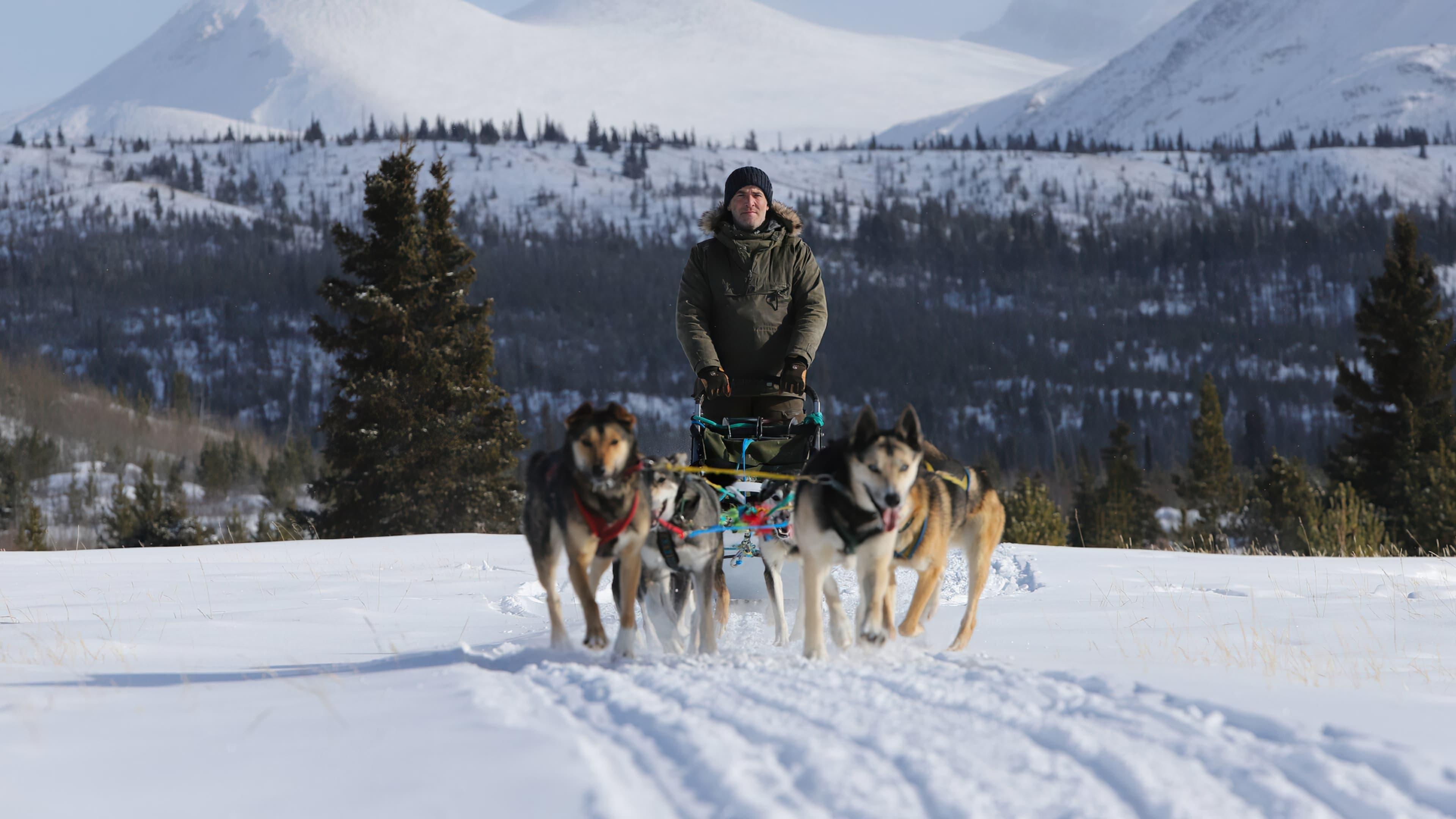 Snow Dogs backdrop