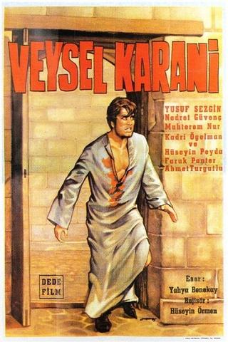 Veysel Karani poster