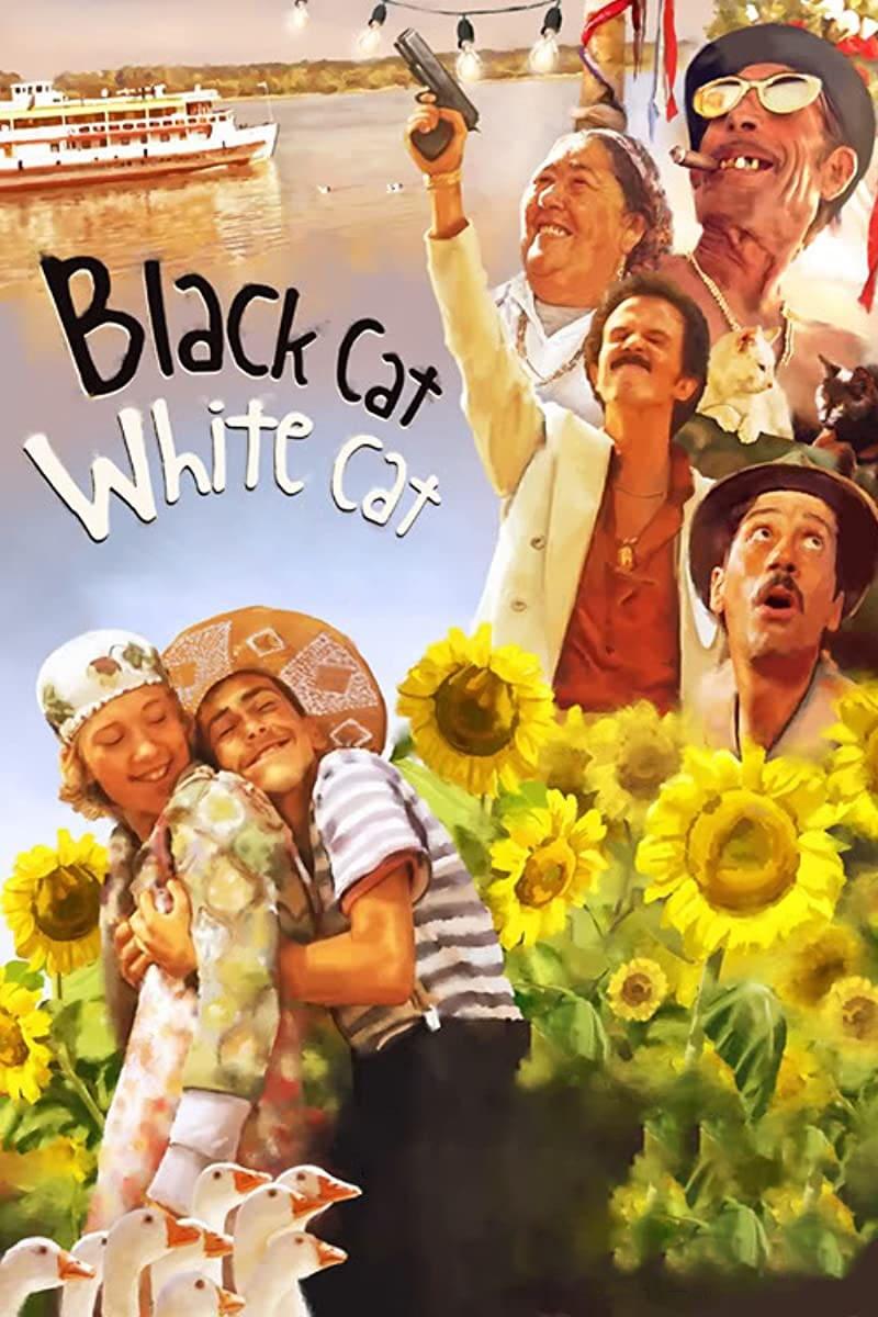 Black Cat, White Cat poster
