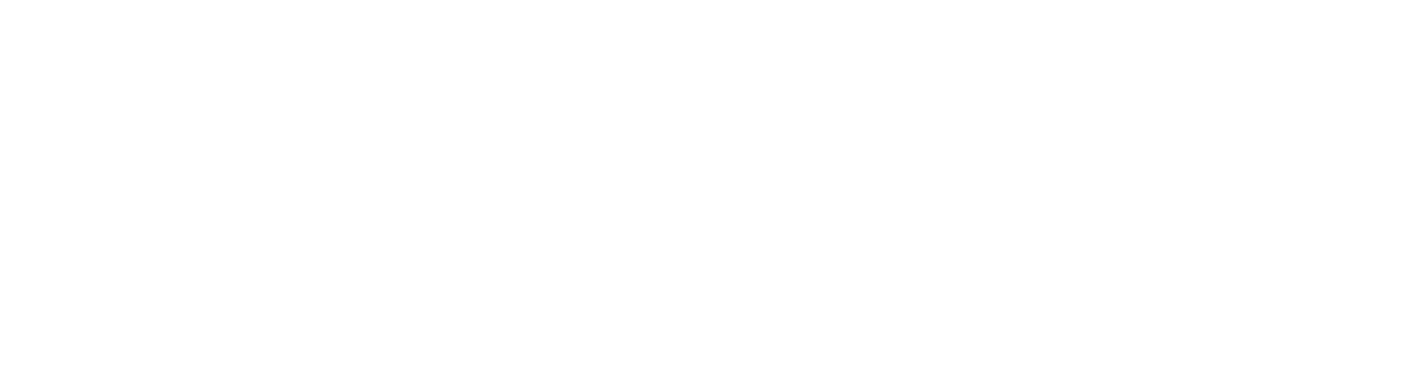 The Man from Snowy River logo