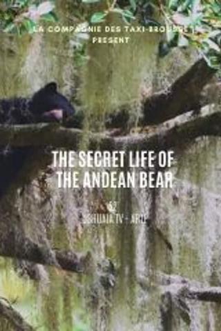 La vie secrète de l’ours à lunettes poster