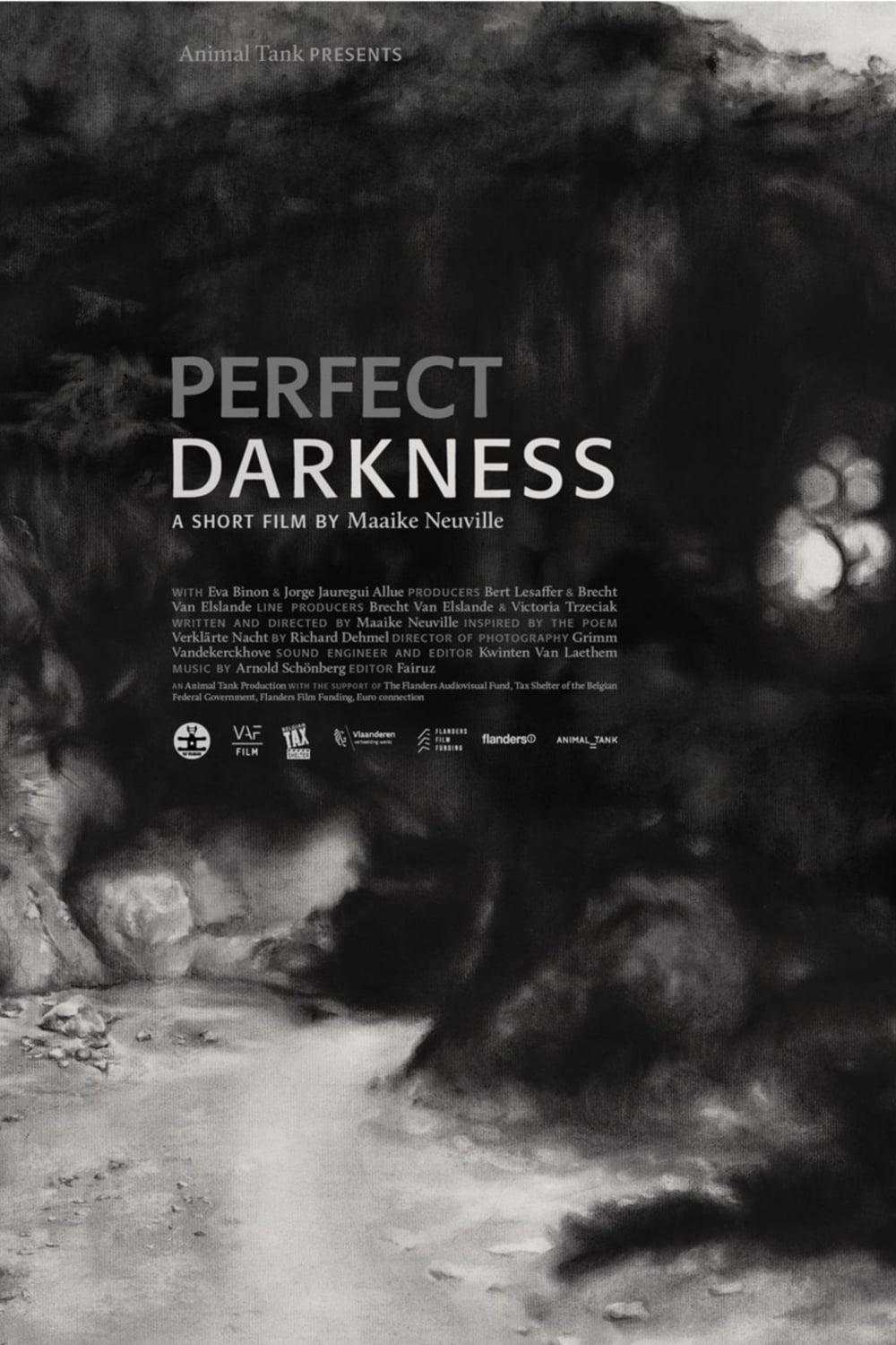 Perfect Darkness poster