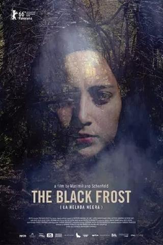 The Black Frost poster