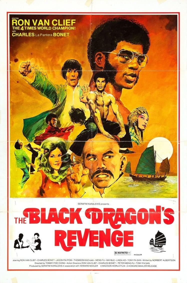 Black Dragon's Revenge poster