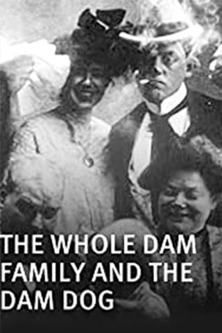 I.B. Dam and the Whole Dam Family poster