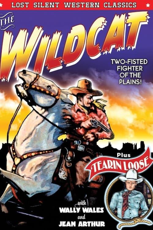 The Wildcat poster