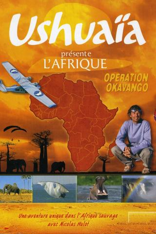 Opération Okavango poster