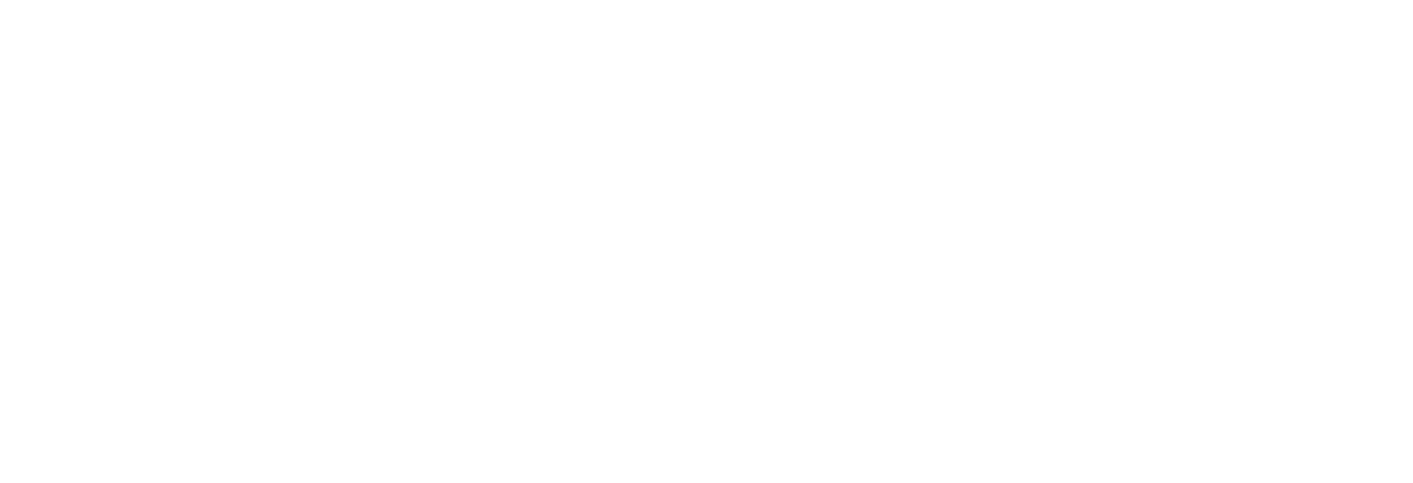 The Autobiography of Nicolae Ceausescu logo