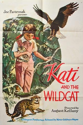 Kati és a vadmacska poster