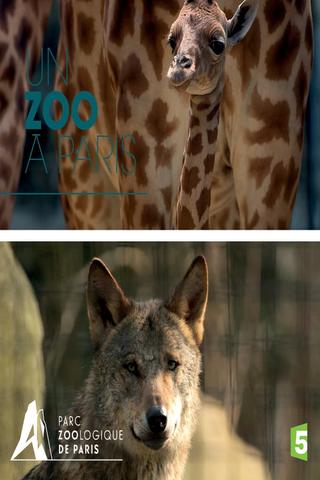 Paris Zoo: An Insider's View poster