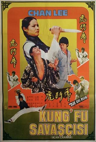 Kung Fu Conspiracy poster