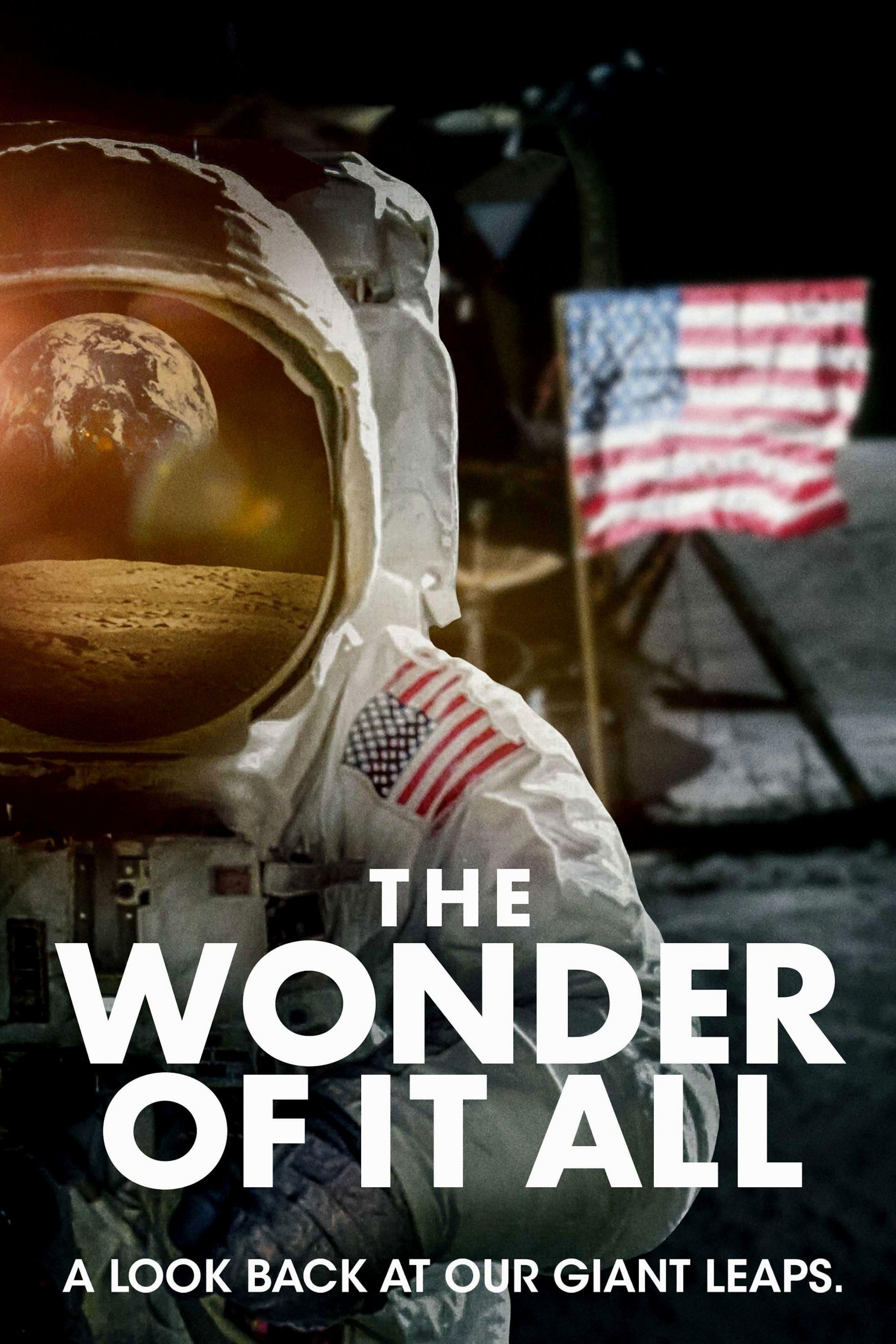 The Wonder of It All poster