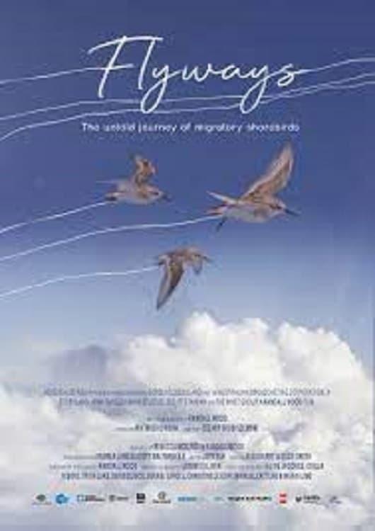 Flyways poster