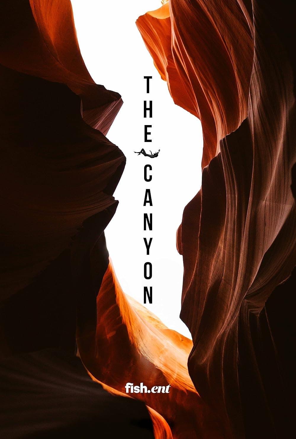 The Canyon poster