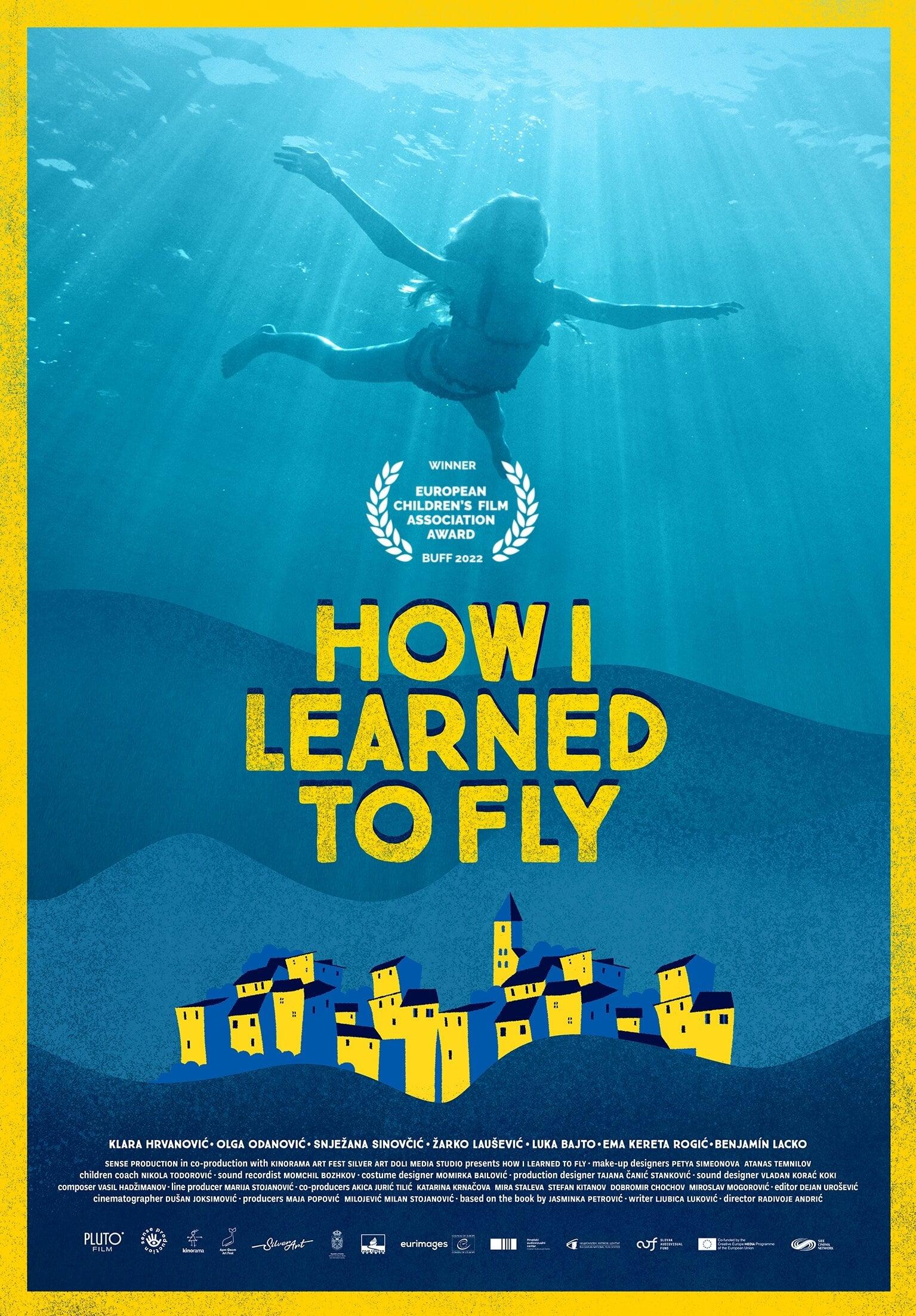 How I Learned to Fly poster