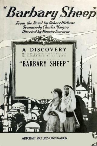 Barbary Sheep poster