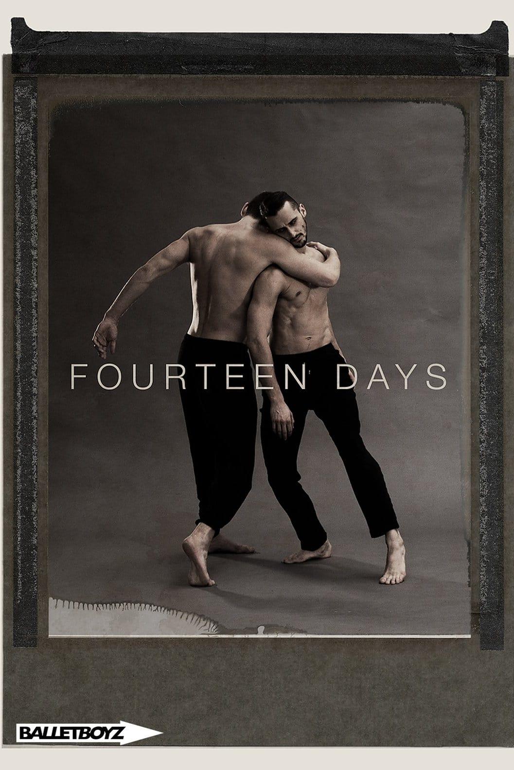 Fourteen Days poster