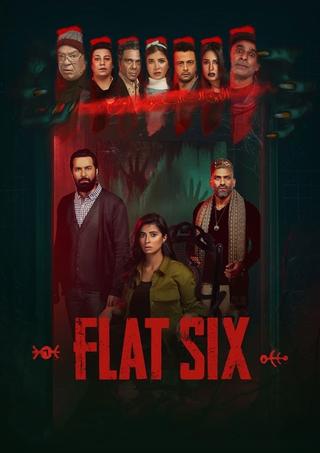 Flat 6 poster