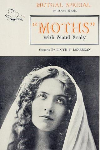 Moths poster