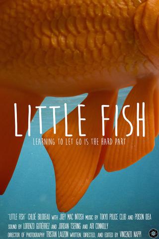 Little Fish poster