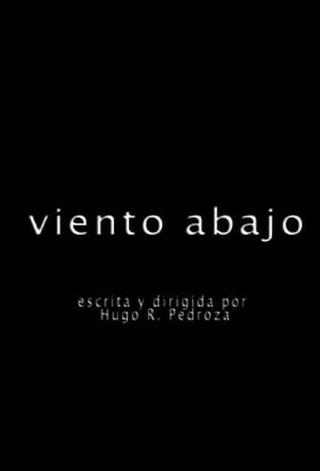 Viento abajo poster