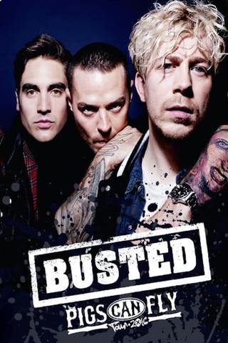 Busted: Pigs Can Fly Tour 2016 poster