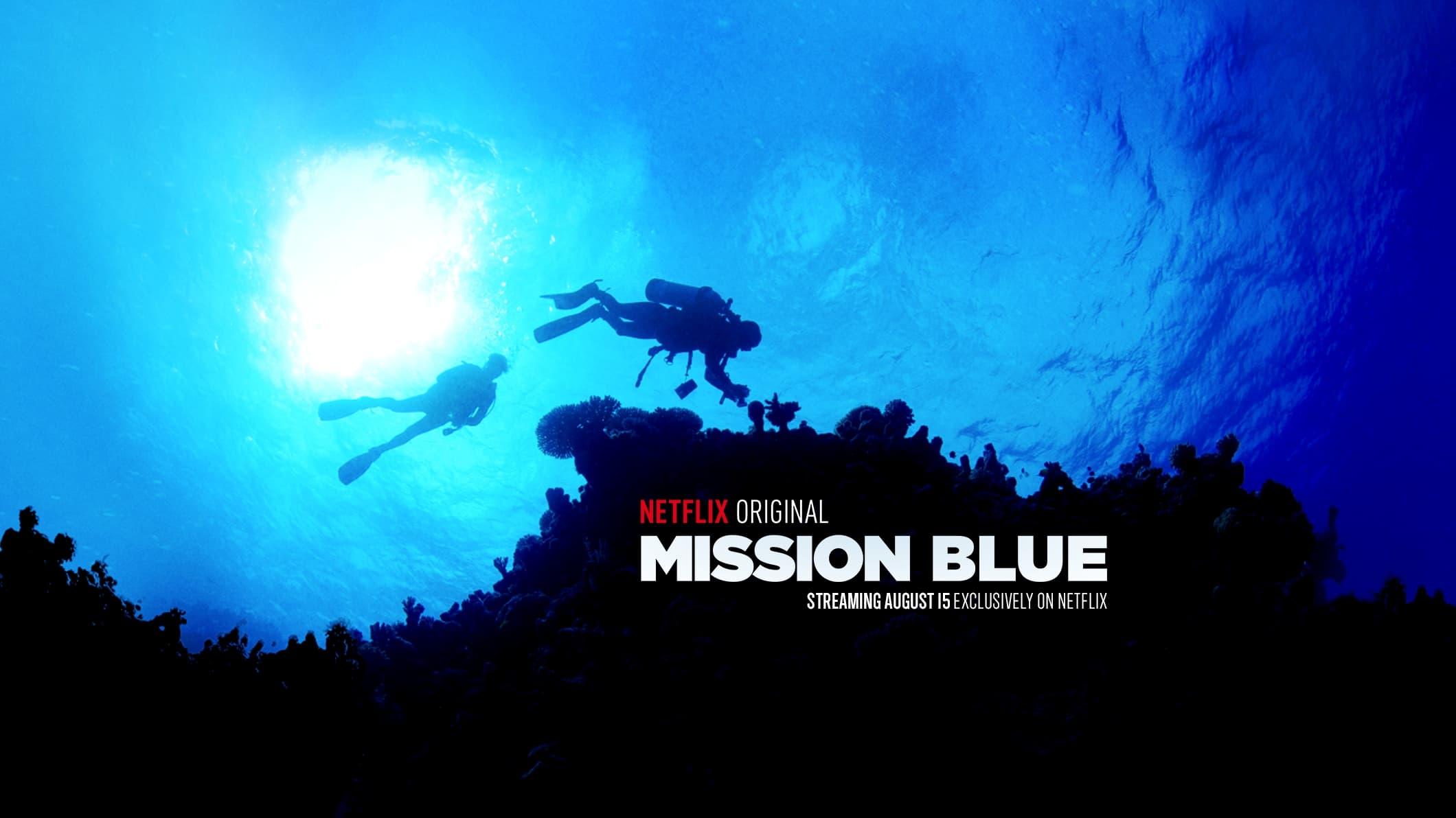 Mission Blue backdrop