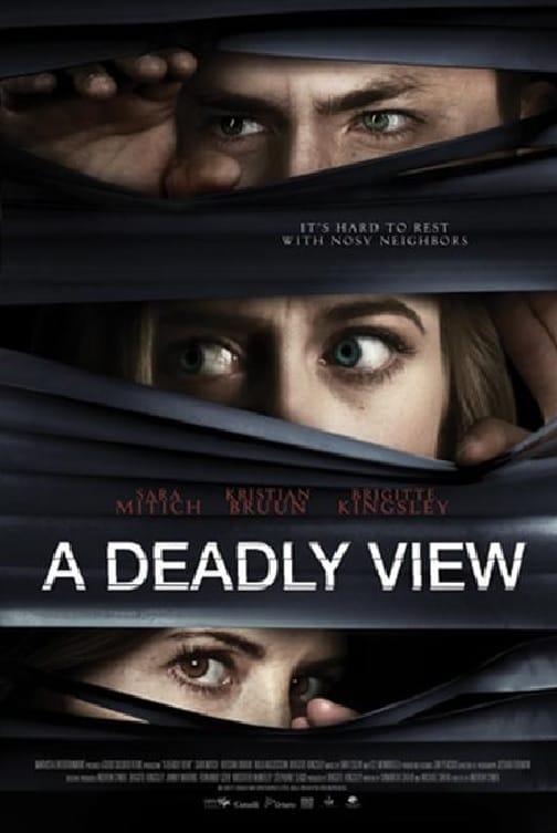 A Deadly View poster
