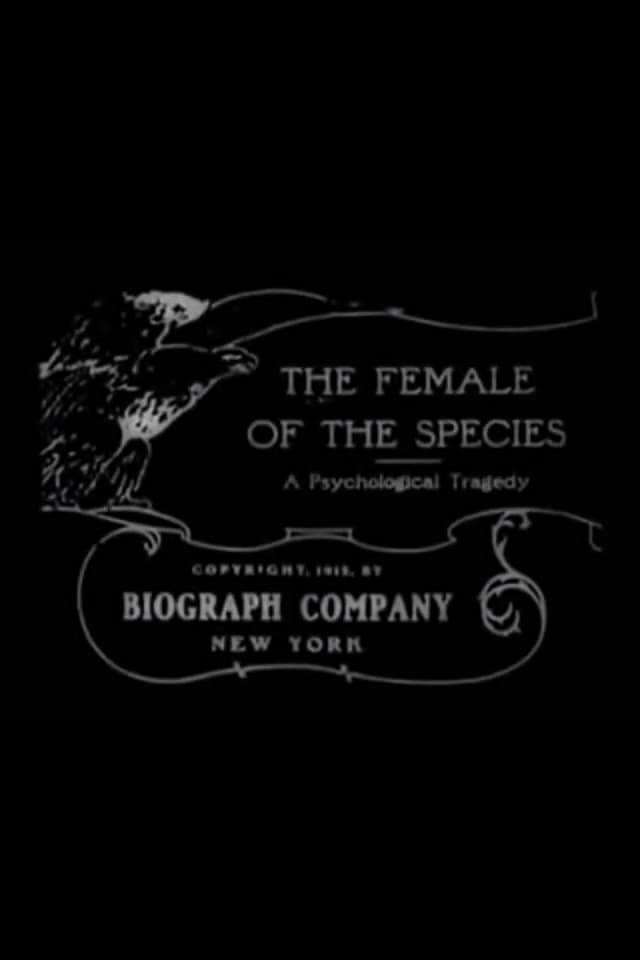 The Female of the Species poster