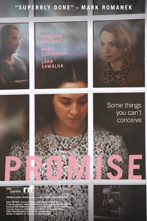 Promise poster