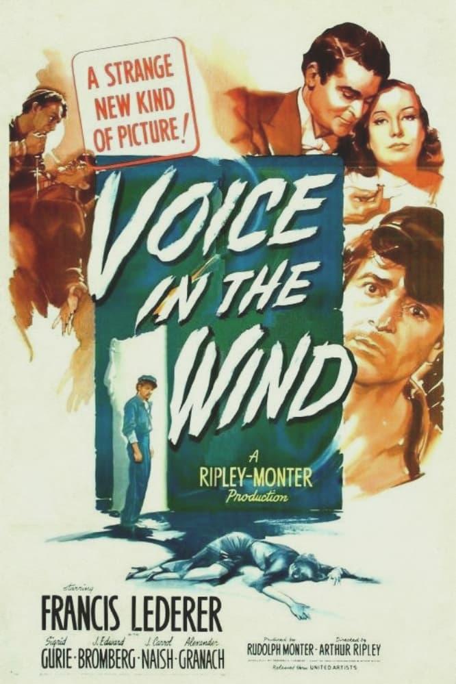 Voice in the Wind poster