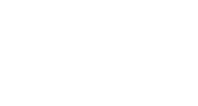 The Fast and the Furious logo