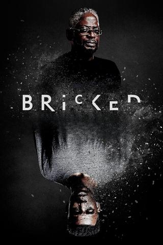 Bricked poster