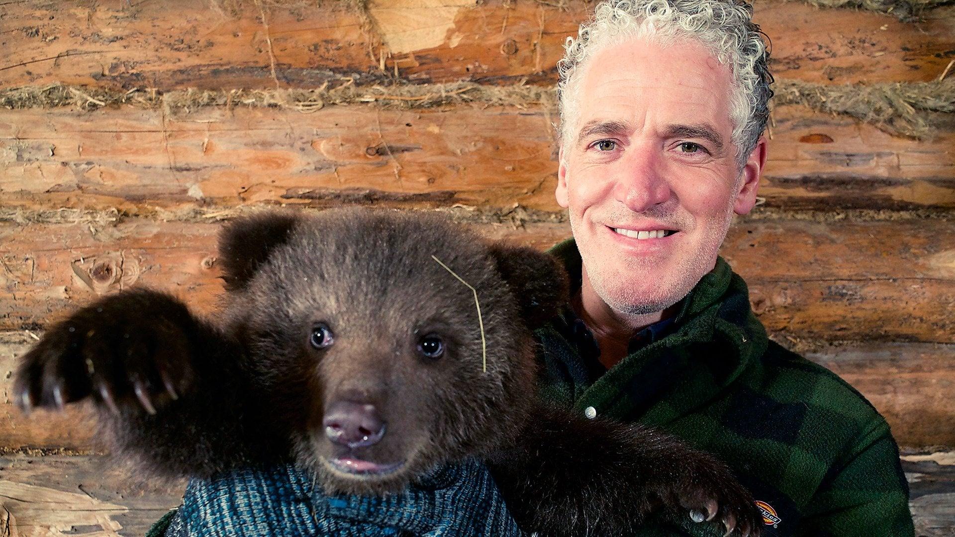 Grizzly Bear Cubs and Me backdrop