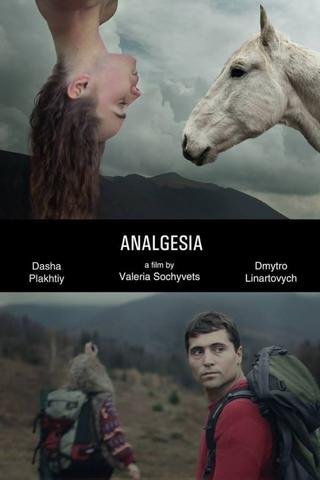Analgesia poster