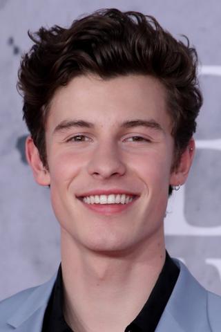 Shawn Mendes pic