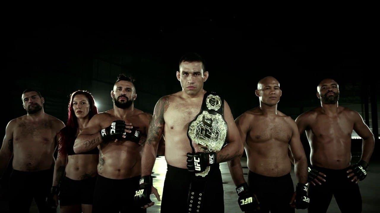 UFC 198: Werdum vs. Miocic backdrop